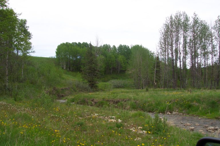 Looking for Alberta land for sale? Calgary & Surrounding Area